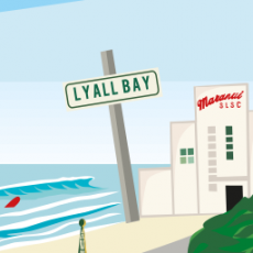 Lyall Bay